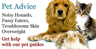 pet-advice-guides pet-advice-guides