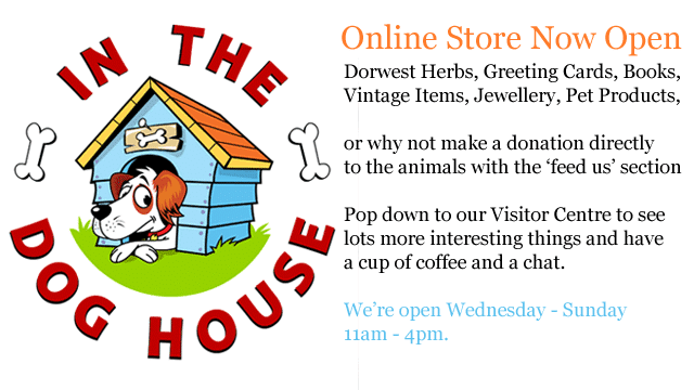 pet-products-gifts pet-products-gifts