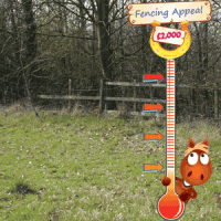 petsams-fencing-appeal