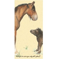 shire-shetland-card