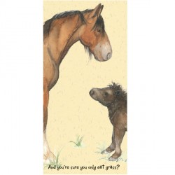 shire-shetland-card