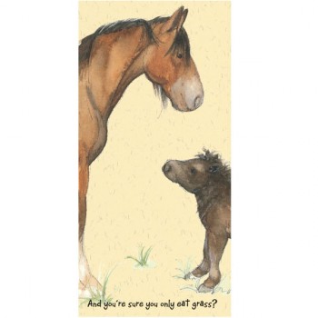 shire-shetland-card