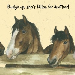sob-story-card