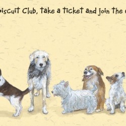 the-biscuit-club-card