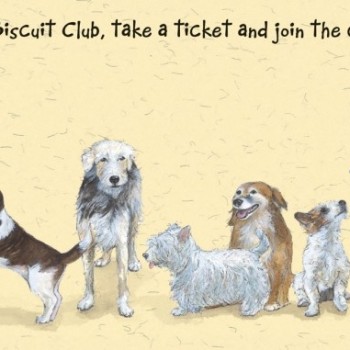 the-biscuit-club-card