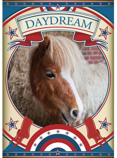 daydream-frame Daydream Mini Pony