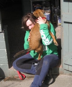 dogs - fussy puppy 3