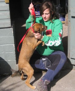 dogs - fussy puppy 5