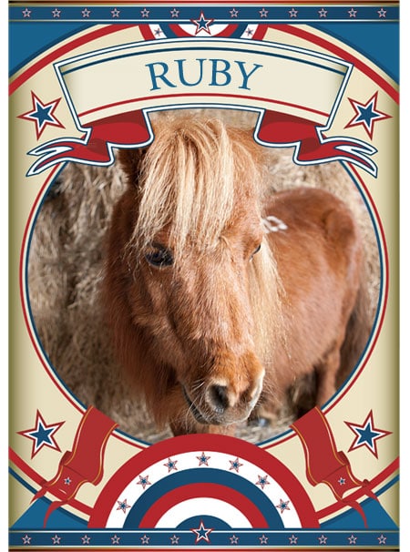 Ruby Mini Pony at the Sanctuary