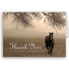 horses - thank you