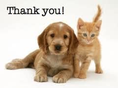 thank you - dog and cat