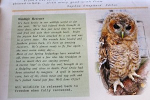 newsletter summer 2014 3