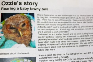 newsletter - summer 2014 4