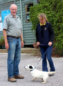 dogs - jack goes to vet