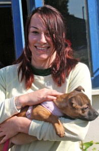 puppy - sunny with jodie