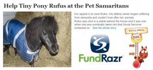 Rufus And Dementia Appeal at the Pet Samaritans