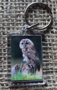 keyring owl