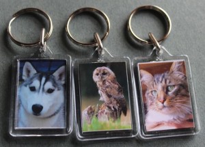 keyrings 2