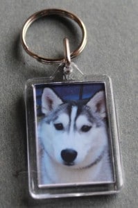 keyrings - husky