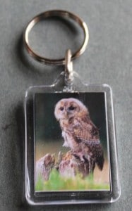 keyrings - owl