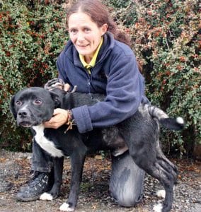 dogs-buddy-badskin-1