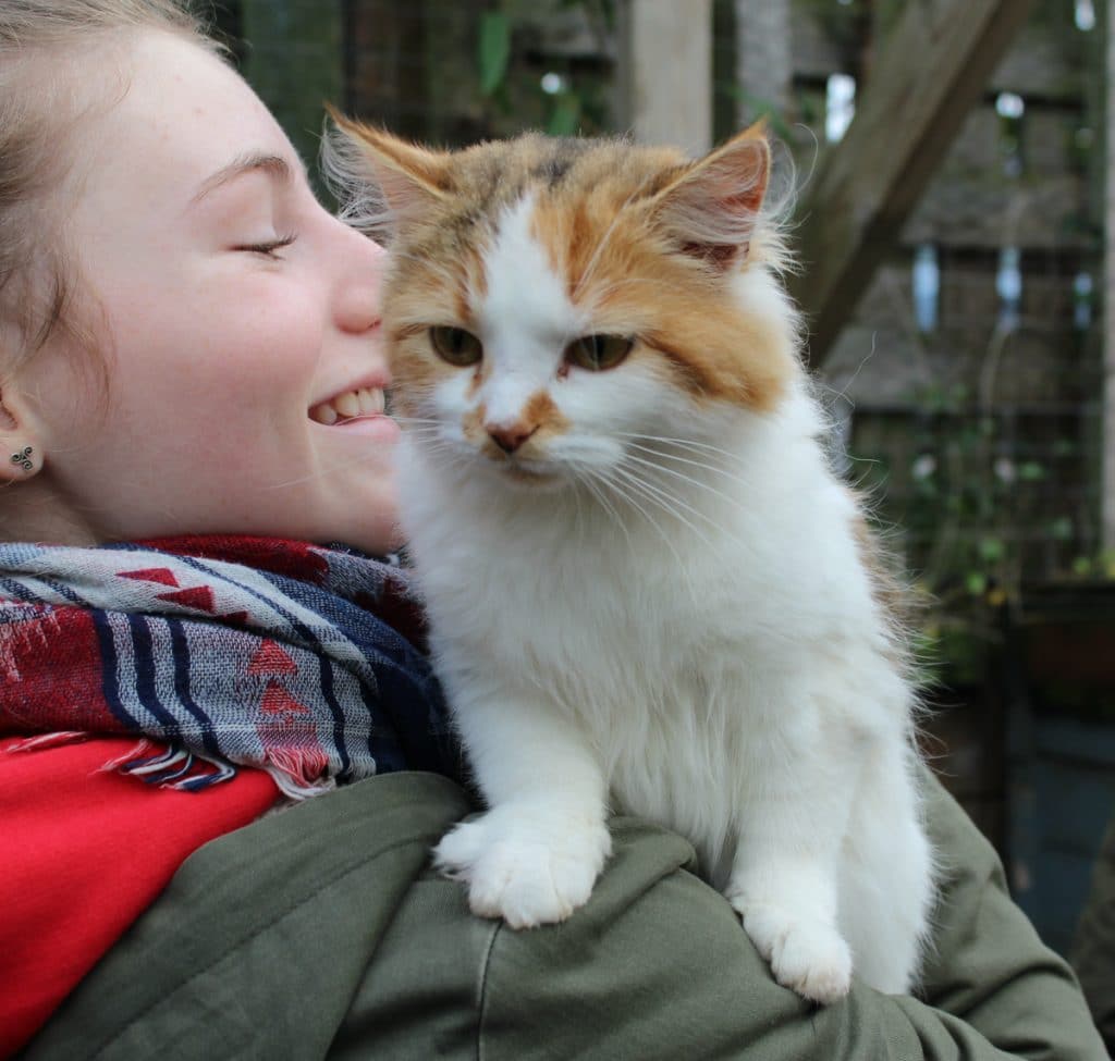 Cat with Pet Samaritan