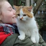 Cat with Pet Samaritan