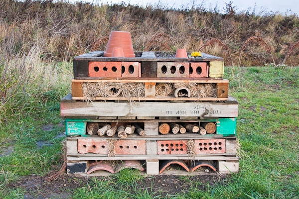 Simple bug house for insects