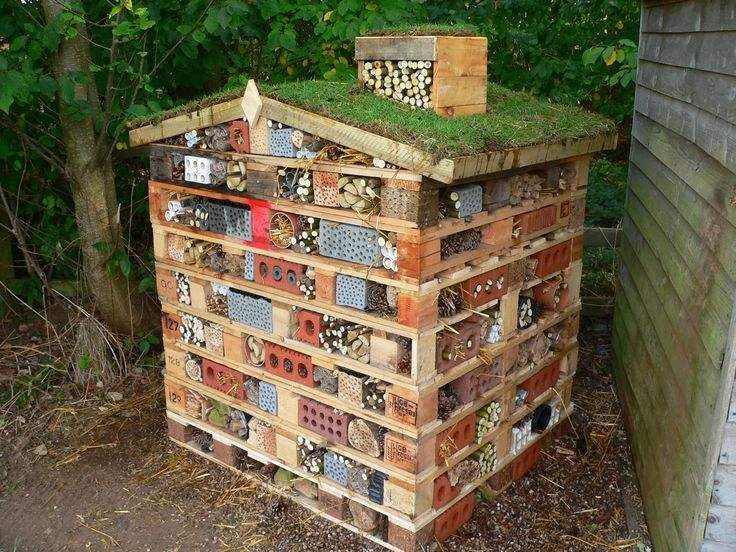Ultimate Bug House