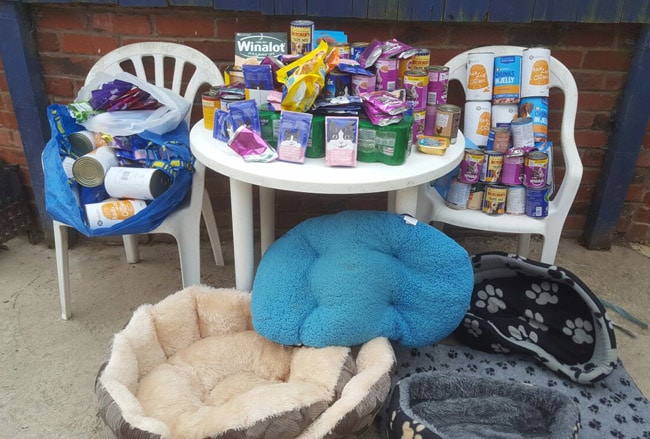 Food donation to the animal sanctuary