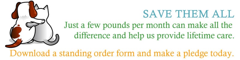Make a regular donation to the Pet Samaritans