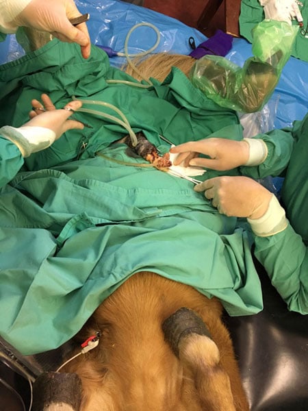 Sundance operating theatre