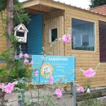 Kitty City at the Animal Sanctuary