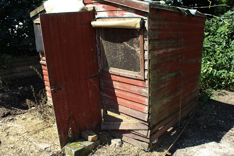 Pig shed falling down