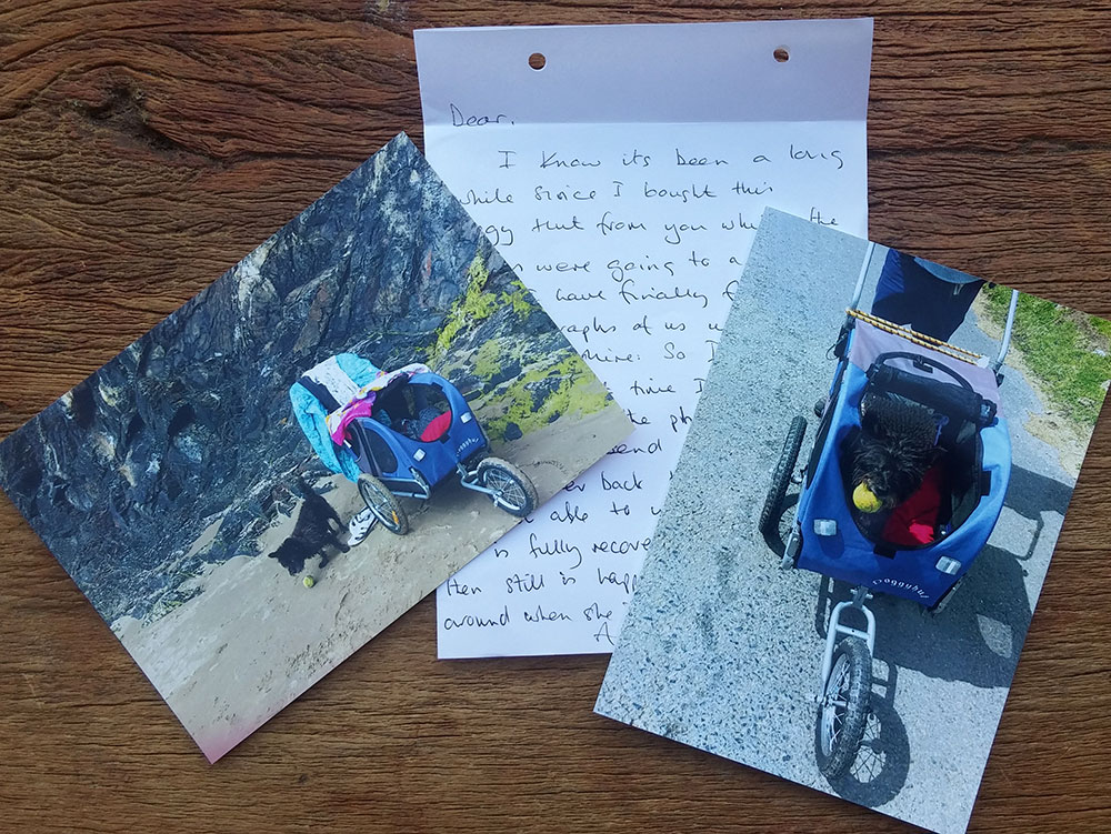 letter to animal sanctuary