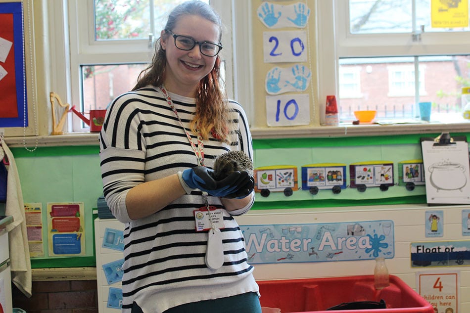 Hedgehog at school