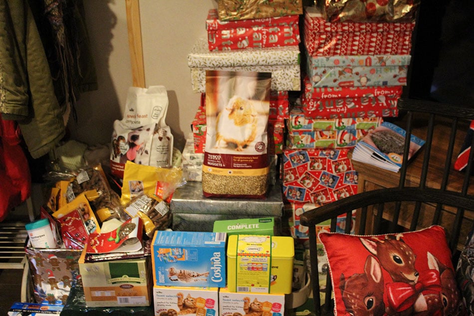 donated food for the animals