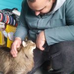 Cloud enjoying a fuss with a volunteer