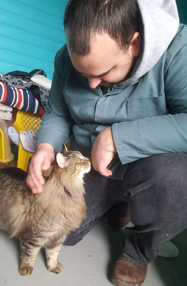 Cloud enjoying a fuss with a volunteer