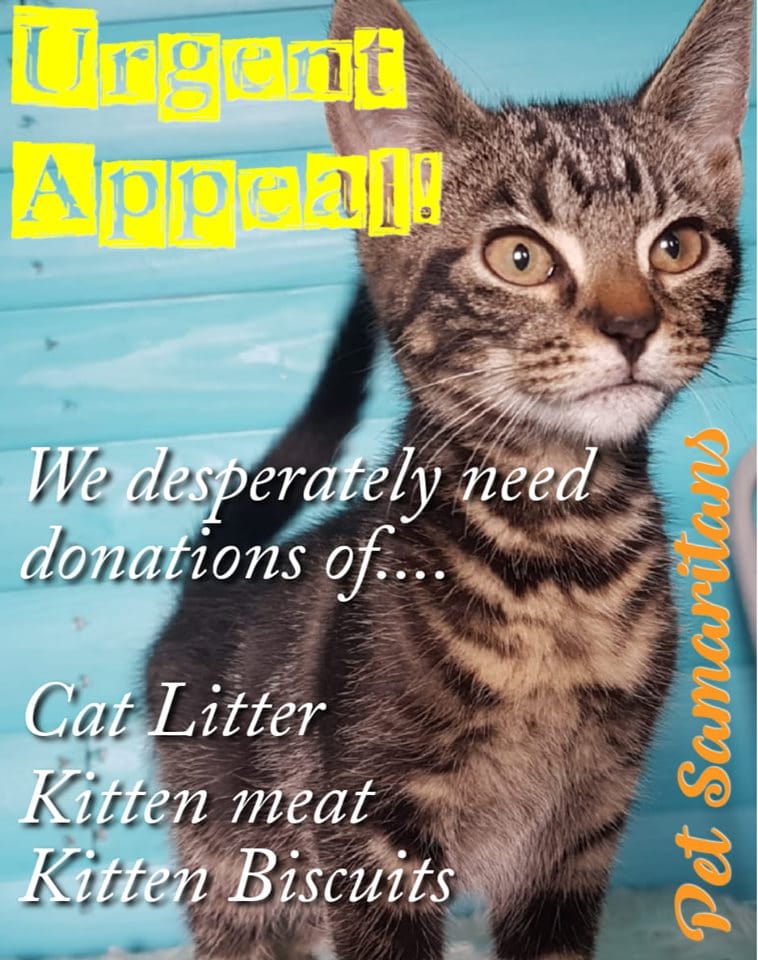 appeal for cat litter