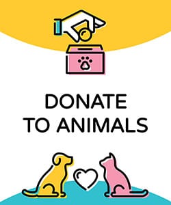 donate to the animals