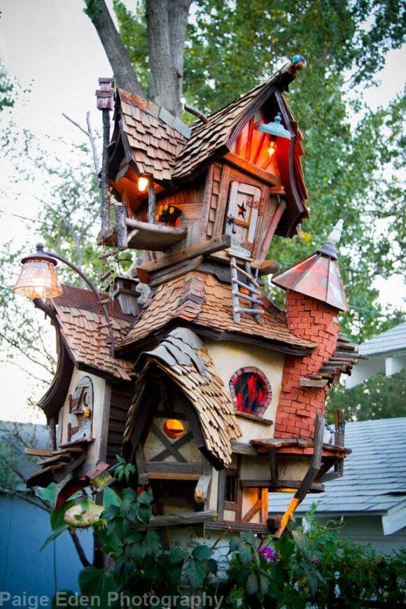 Five amazing birdhouses for Wildlife Pet Samaritans