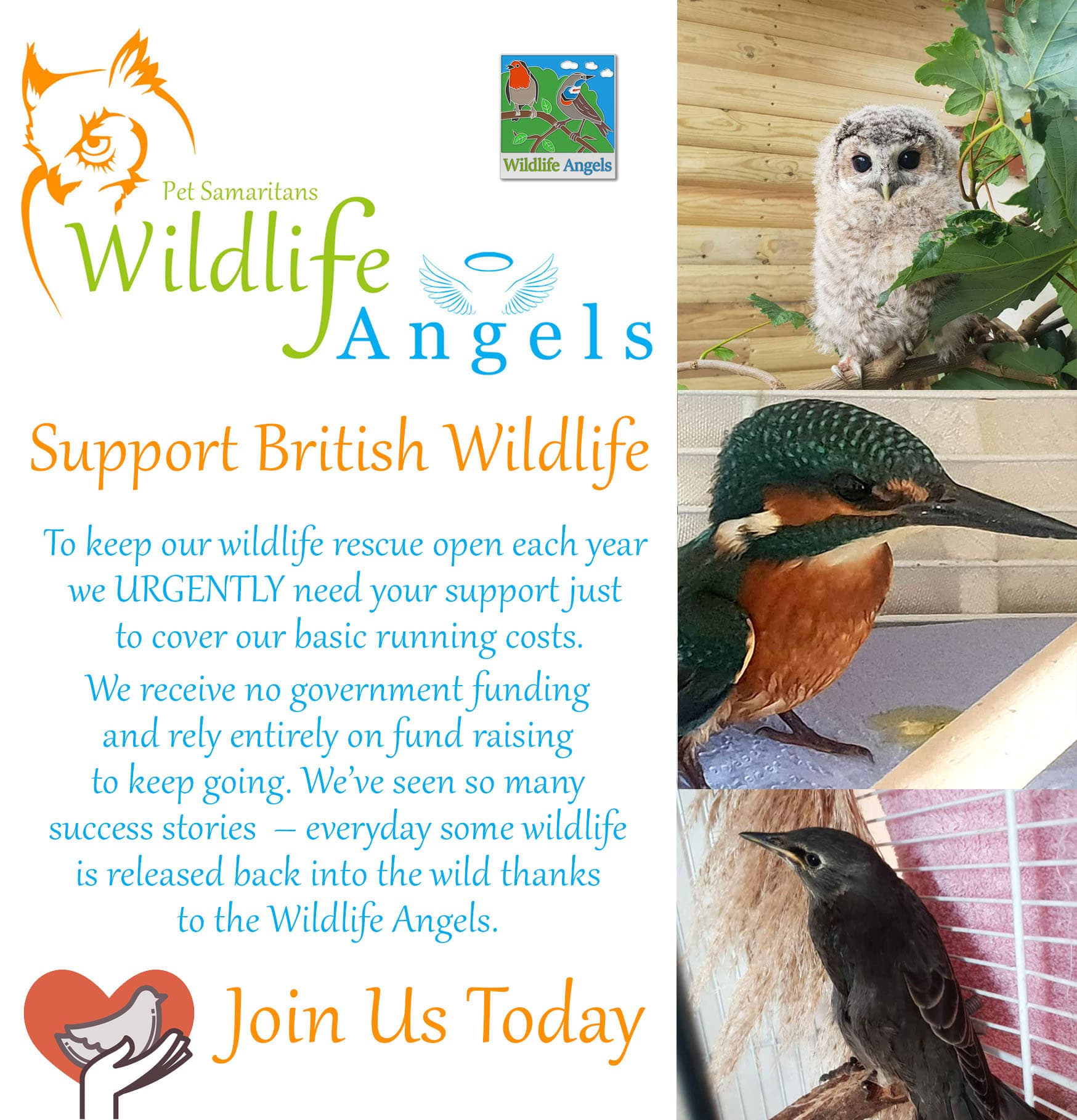 British wildlife rescue