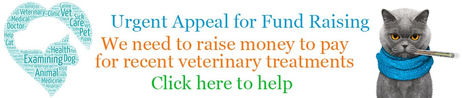 las facturas del veterinario donan