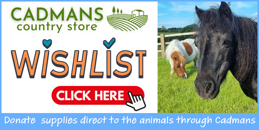 Donate supplies direct to the horses and animals through cadmans country store