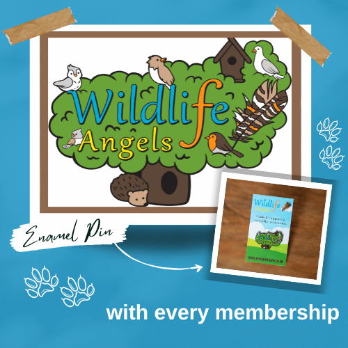 wildlife angels enamel pin