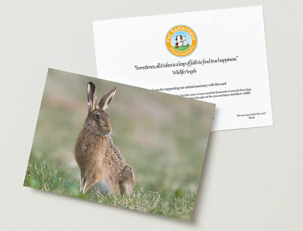 Hare greeting card
