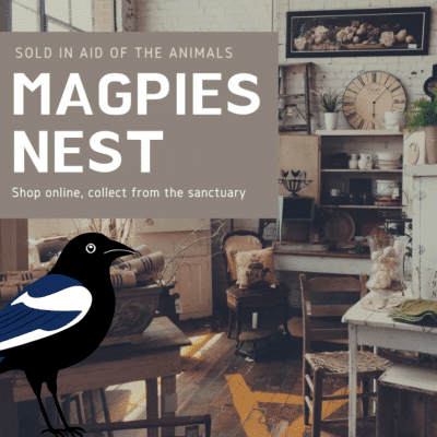 Magpies Nest